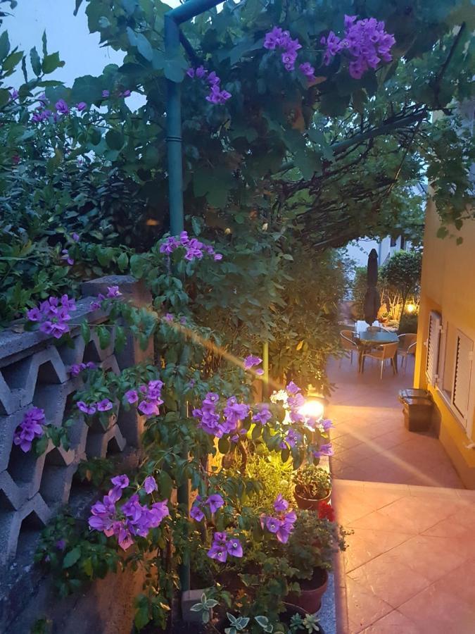 Apartmani Grguric Kornić エクステリア 写真