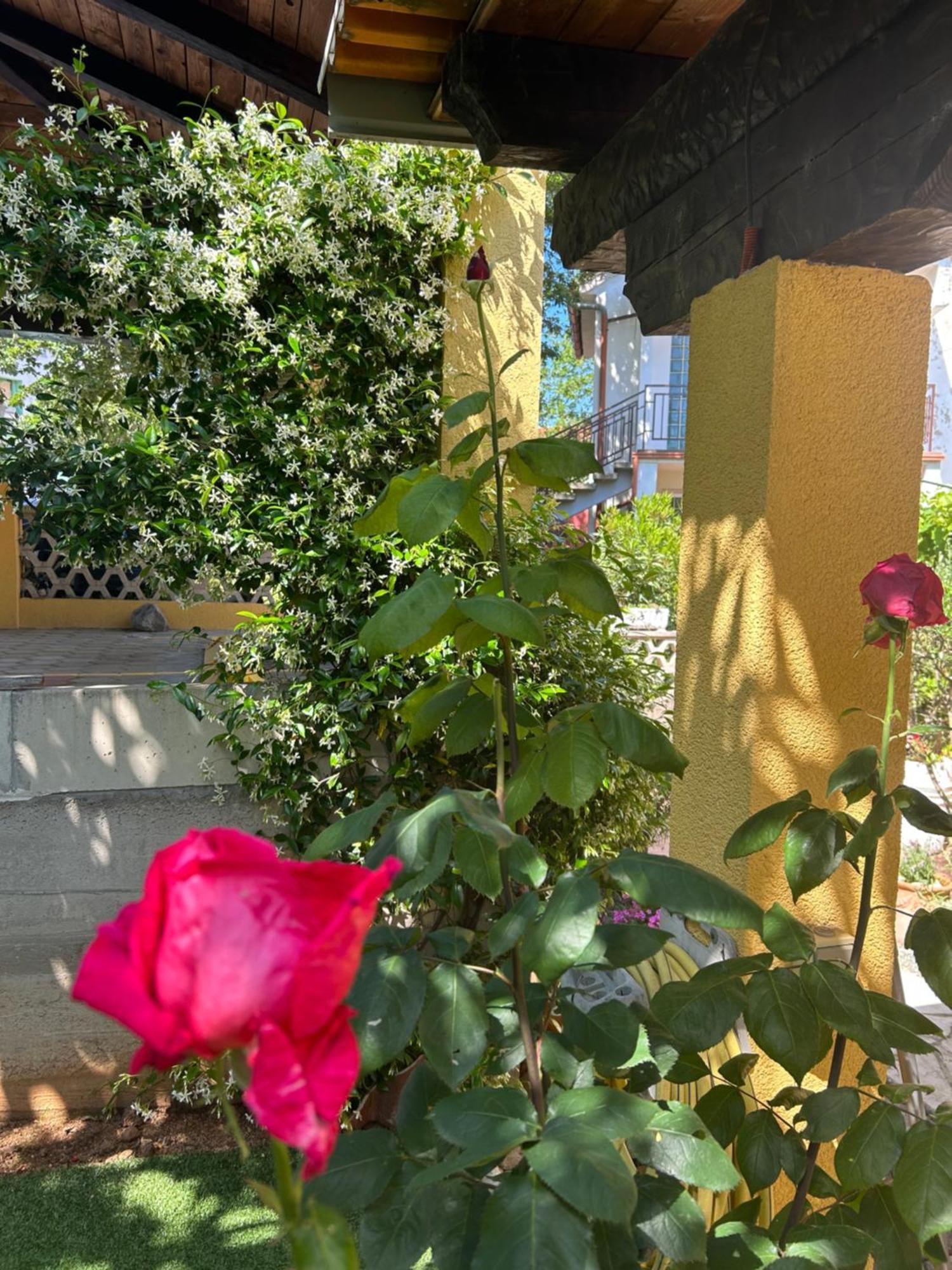 Apartmani Grguric Kornić エクステリア 写真